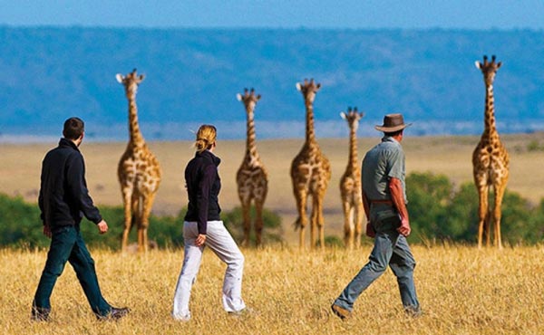 kenya3
