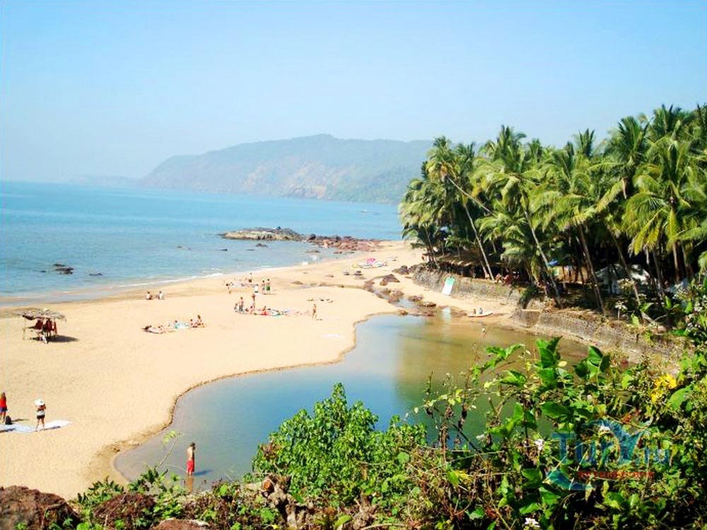 GOA1